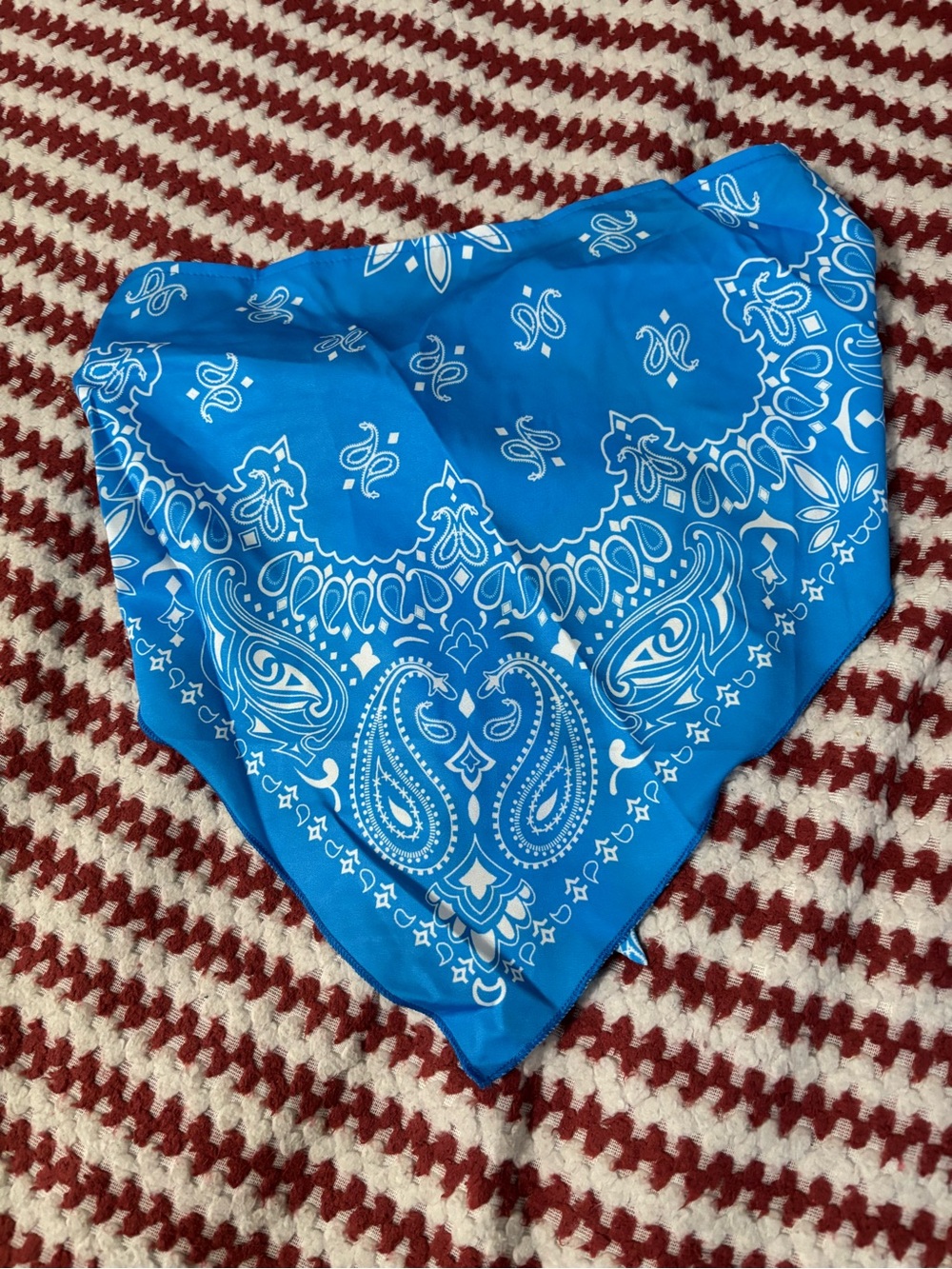 Blue Paisley Bandana top and headband